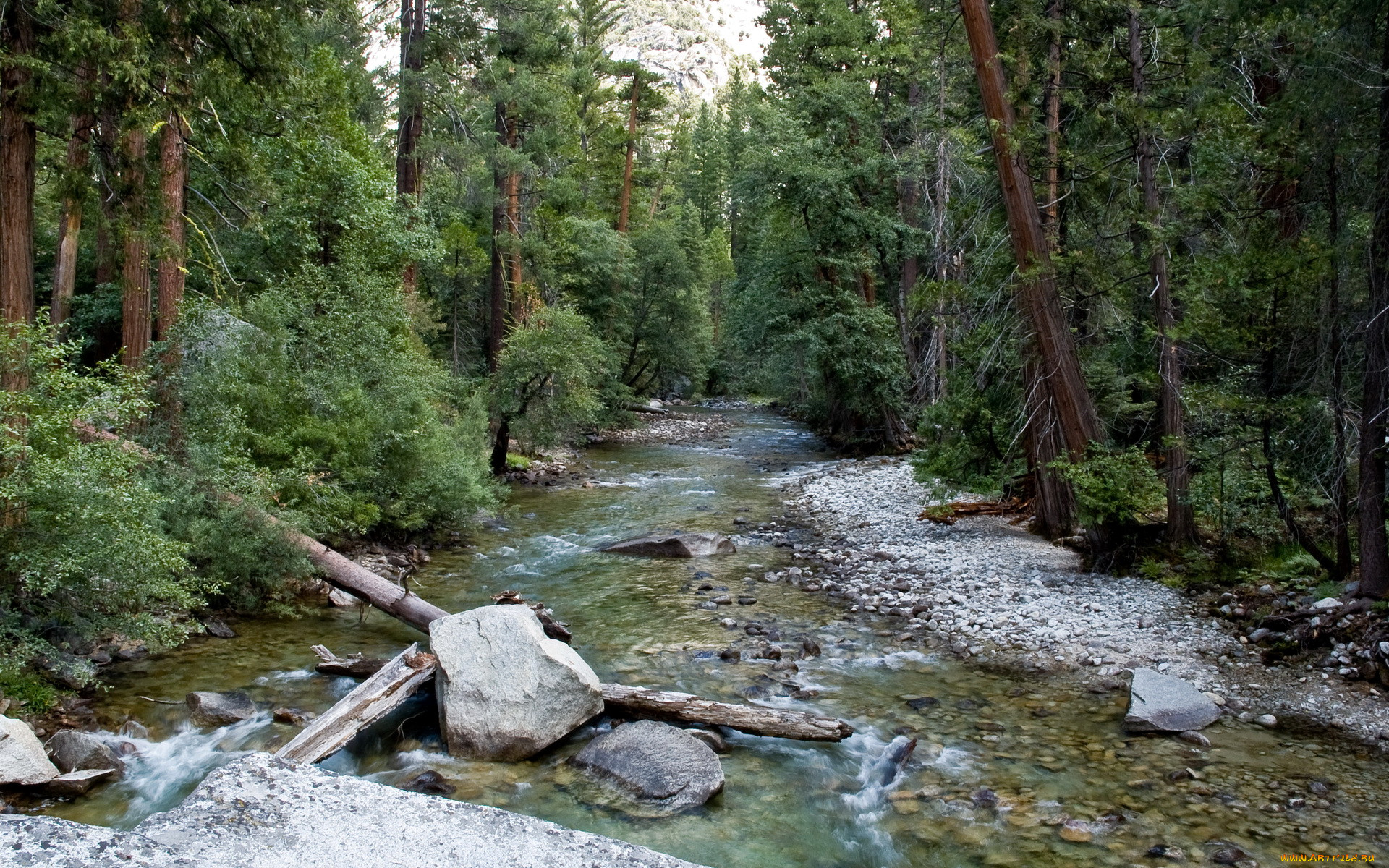 sequoia, national, park, california, , , , , 